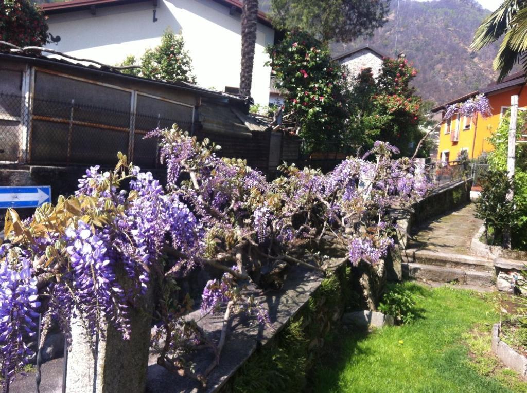 B&B Villa Dei Pini Cannobio Buitenkant foto