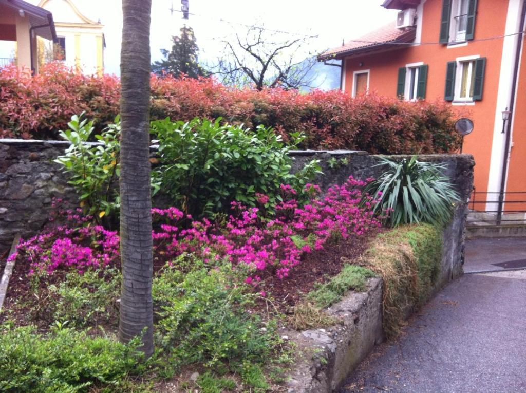 B&B Villa Dei Pini Cannobio Buitenkant foto