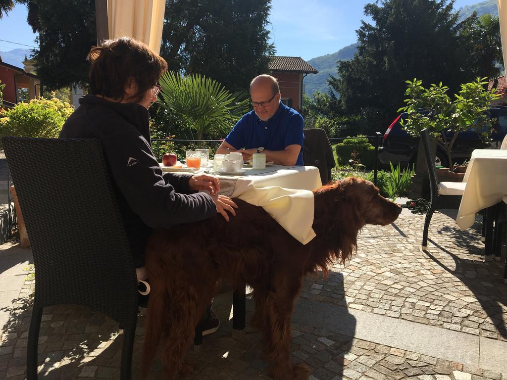 B&B Villa Dei Pini Cannobio Buitenkant foto