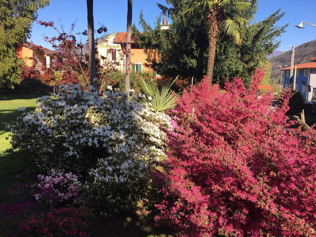 B&B Villa Dei Pini Cannobio Buitenkant foto