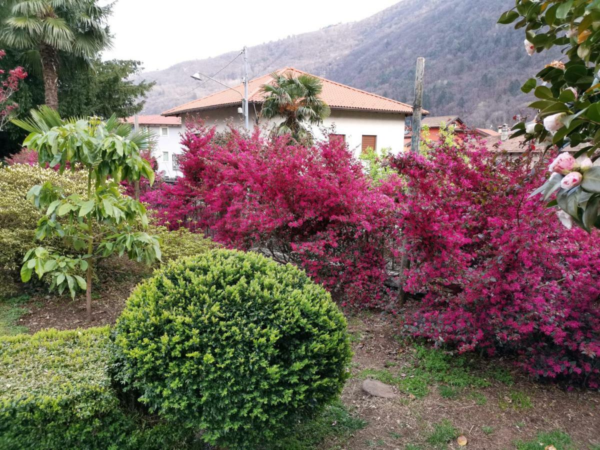 B&B Villa Dei Pini Cannobio Buitenkant foto